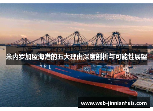 米内罗加盟海港的五大理由深度剖析与可能性展望